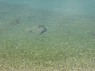 Image showing Sea water