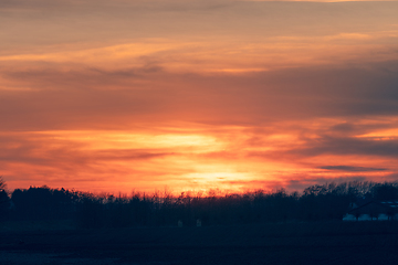 Image showing Fire in the sky sunset over a row of tree silhouettes