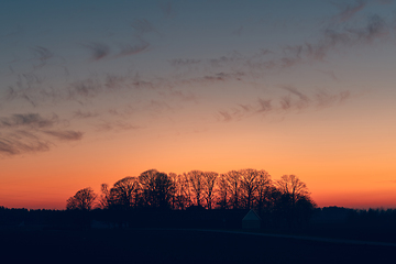 Image showing Sunset over a farmland with tree silhouettes