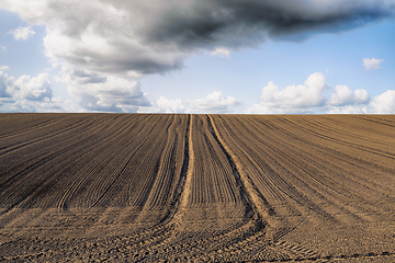 Image showing Plowed field with tracks under a blue sky