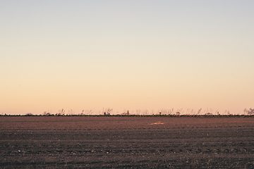 Image showing Plowed field in the sunset at dawn