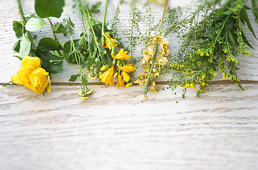 Image showing Colorful flowers in yellow and green