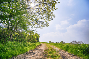 Image showing Summer landscape with a dirt road