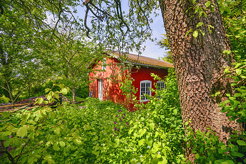 Image showing Red summer hut in a green garden