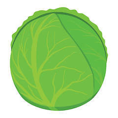 Image showing Cabbage icon