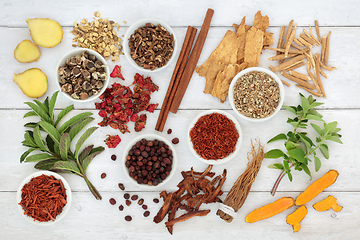 Image showing Fresh and Dried Herbs and Spices for Immune Boost