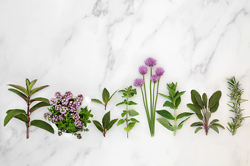 Image showing Aromatic Herbs Freshly Picked for Food Seasoning