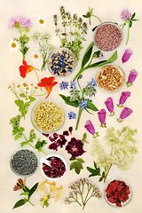 Image showing Edible Flowers Herbs and for Alternative Herbal Medicine 