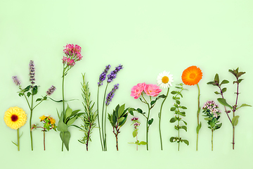 Image showing Organic Herbs and Edible Flowers for Herbal Plant Remedies