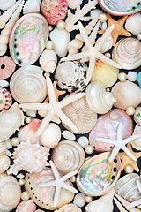 Image showing Sea Shell Starfish and Oyster Pearl Background  