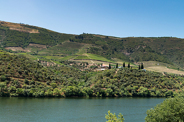 Image showing Point of view shot of terraced vineyards in Douro Valley