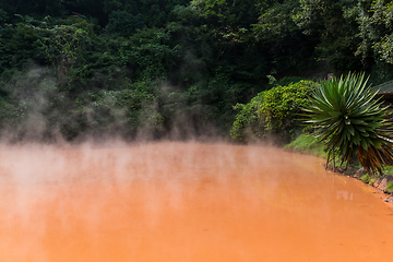 Image showing Blood pond hell in Beppu