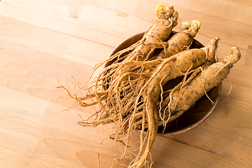 Image showing Korean Ginseng