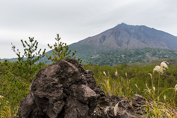 Image showing Sakurajima 