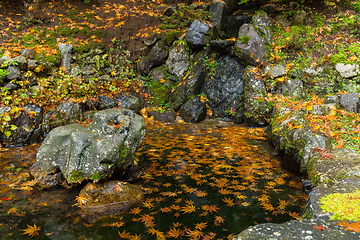 Image showing Traditional Japanese park at autumn