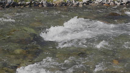 Image showing Waves, spray and foam, river Katun in Altai mountains. Siberia, Russia