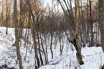 Image showing Snow drifts in winter