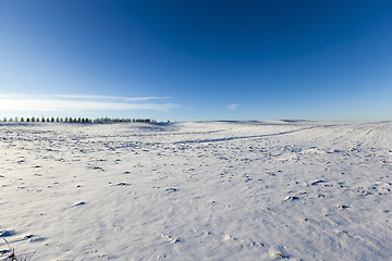 Image showing rural field covered with snow