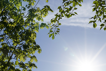 Image showing sun shining