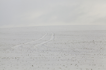 Image showing Snow drifts in winter