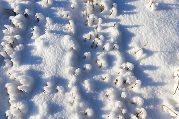 Image showing Field in the snow