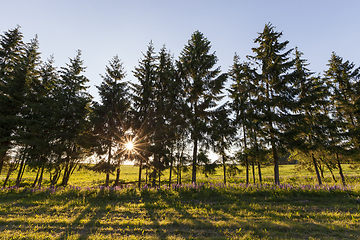 Image showing landscape during sunset ,