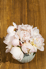 Image showing sunlit white peony