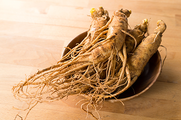 Image showing Korean Ginseng