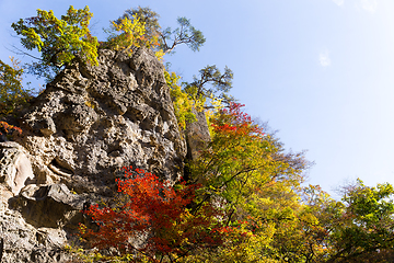 Image showing Naruko gorge in Japan
