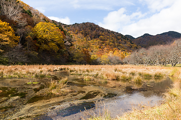 Image showing Autumn landscape in Nikko