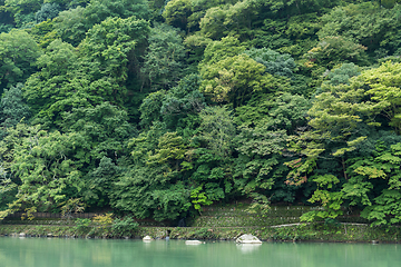 Image showing Arashiyama lake