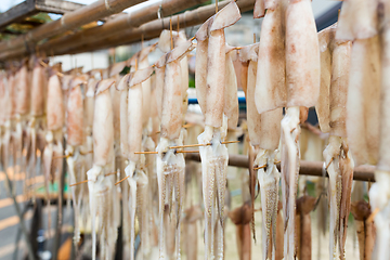 Image showing Drying on squid