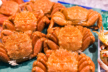 Image showing Crab in wet market