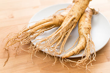 Image showing Fresh korean ginseng on plate