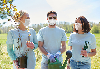 Image showing group of volunteers with tree seedlings in park