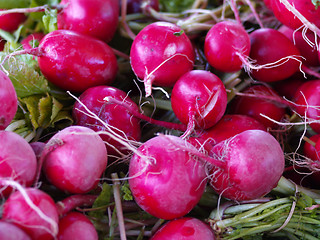 Image showing fresh radish