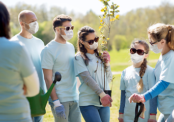 Image showing group of volunteers in masks with tree seedling