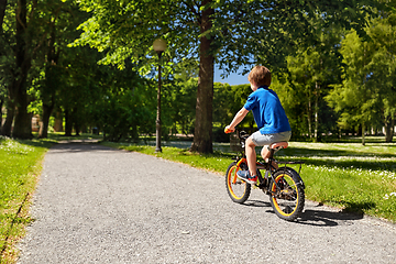 Image showing little boy riding bicycle at summer park