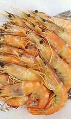 Image showing Raw fresh king prawns at the counter in the store