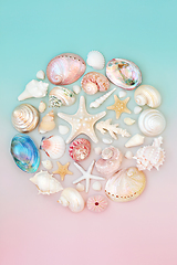 Image showing Abstract Circle of Sea Shells Nature Composition