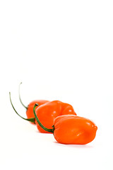 Image showing Three Habaneros Vertical