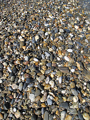 Image showing Wet different sea pebbles on the beach