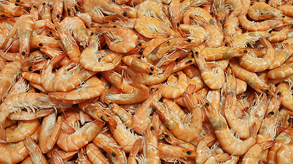 Image showing Raw fresh shrimp at the counter in the store