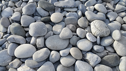 Image showing Nature background from gray sea pebbles