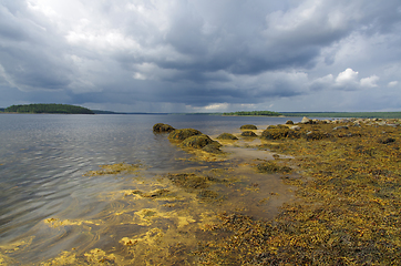 Image showing White Sea coast in Karelia, Russia