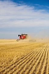 Image showing Harvesting