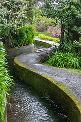 Image showing beautiful Madeira landscape