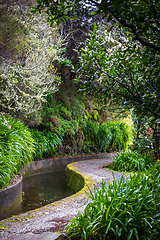 Image showing beautiful Madeira landscape