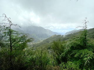 Image showing beautiful Madeira landscape