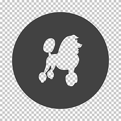 Image showing Poodle icon